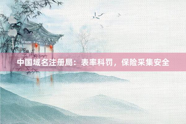 中国域名注册局：表率科罚，保险采集安全