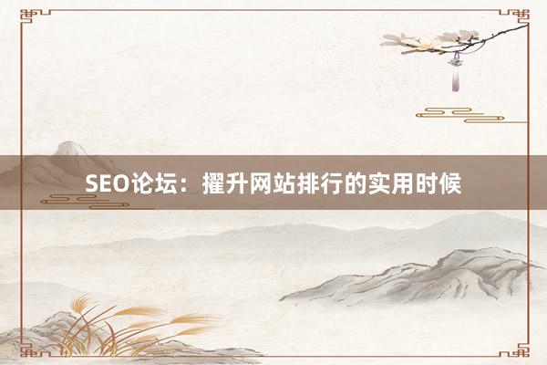 SEO论坛：擢升网站排行的实用时候