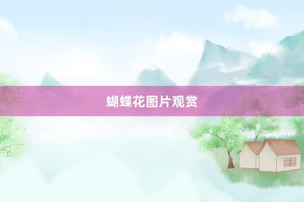蝴蝶花图片观赏