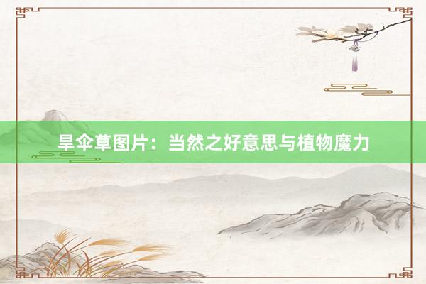 旱伞草图片：当然之好意思与植物魔力